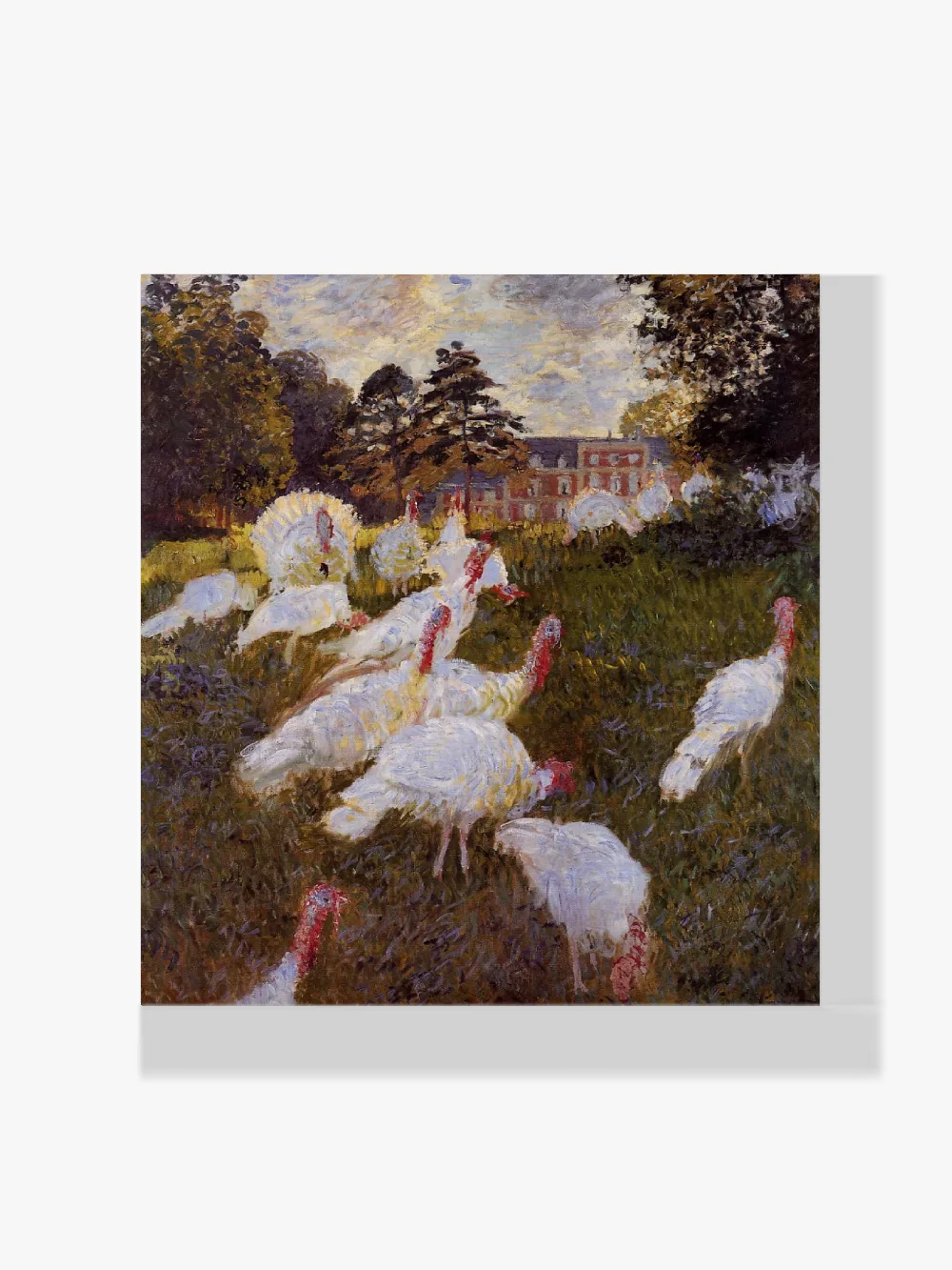 Pintar por números Pavos
