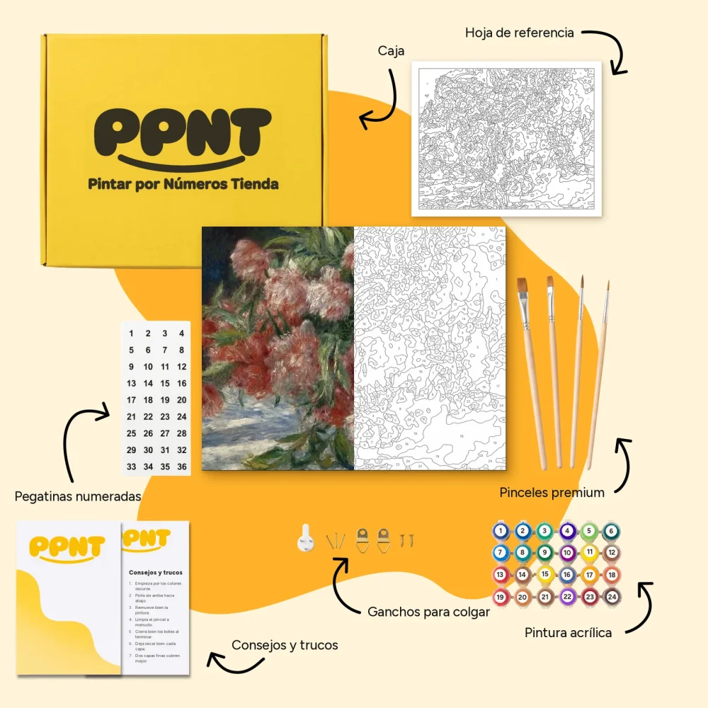 Pintar por Números - Peonías