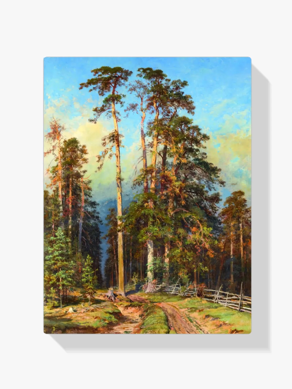 Pintar por números Pinar