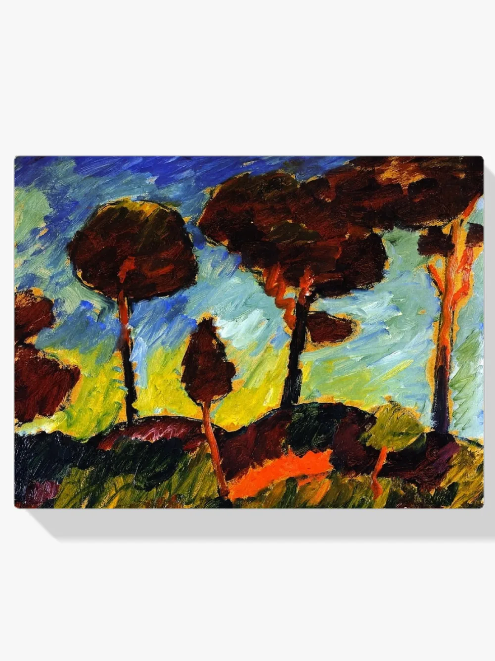 Pintar por números Pinos azotados por la tormenta en Prerow
