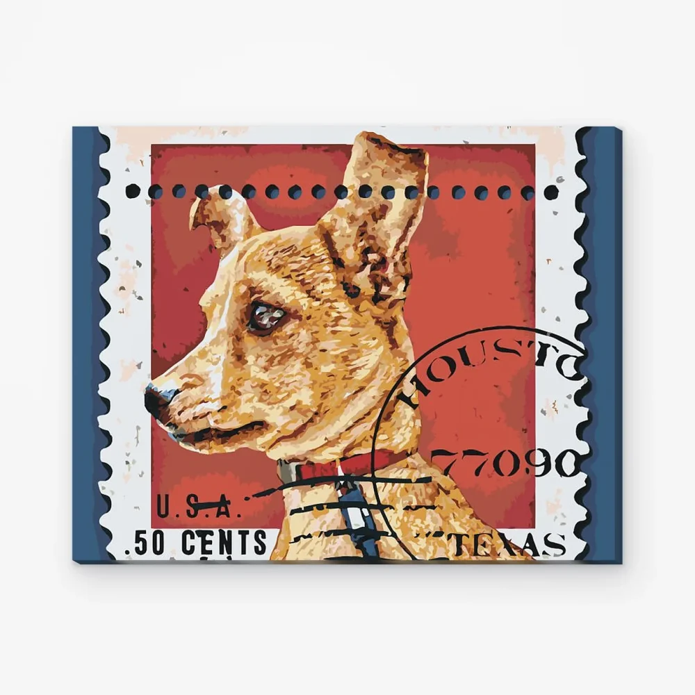 Pintar por Números - Placa de identificación