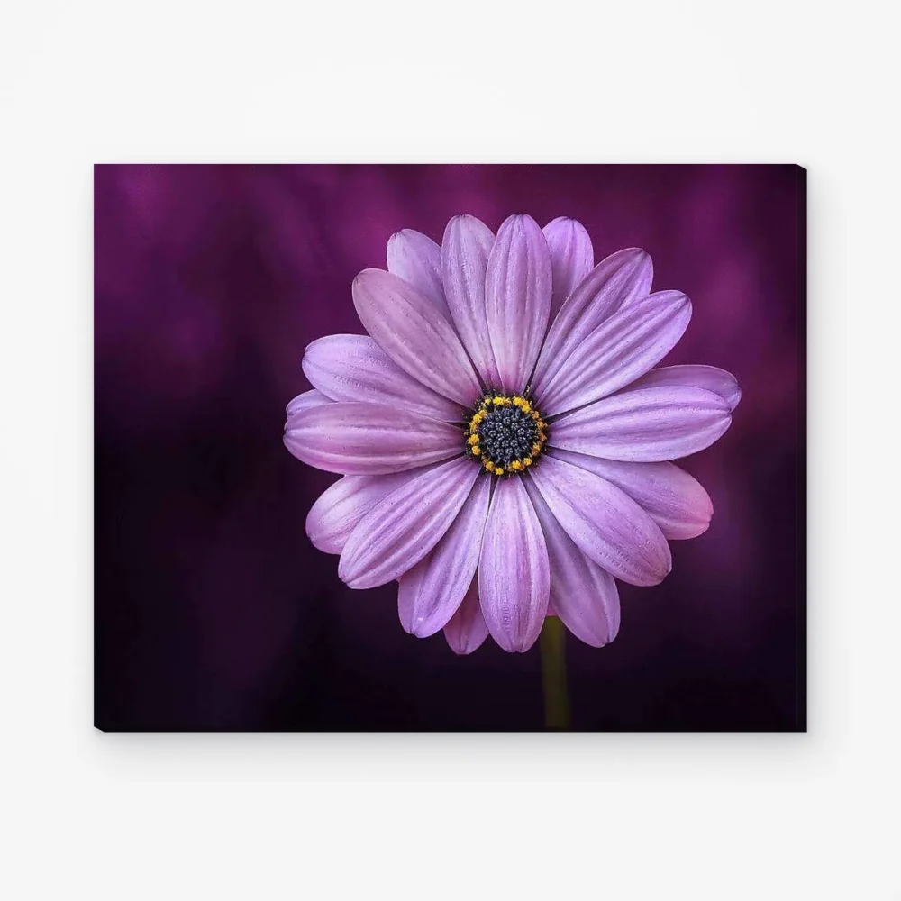 Pintar por Números - Preciosa flor morada