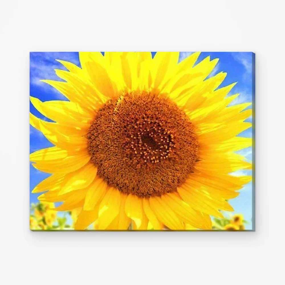 Pintar por Números - Precioso girasol