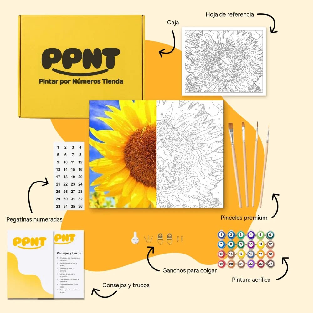 Pintar por Números - Precioso girasol