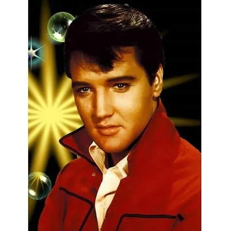 Pintar por números Retrato de Elvis Presley – foto 3