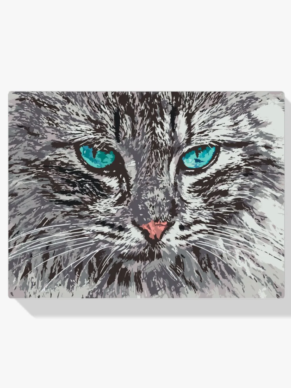 Pintar por números Retrato de gato