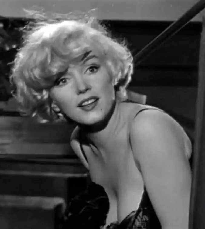 Pintar por números Retrato de Marilyn Monroe en blanco y negro – foto 3