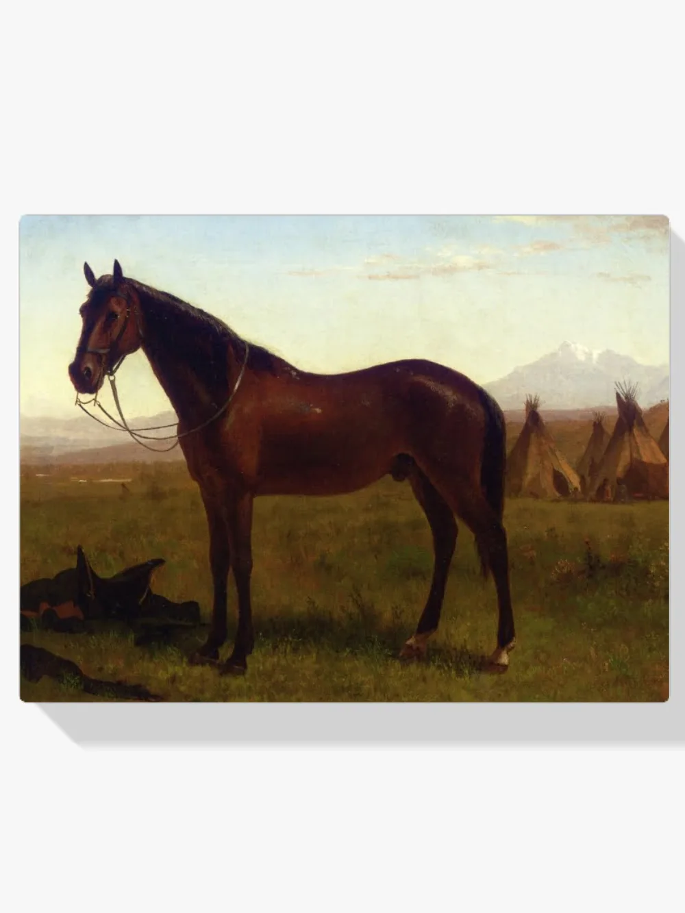 Pintar por números Retrato de un caballo