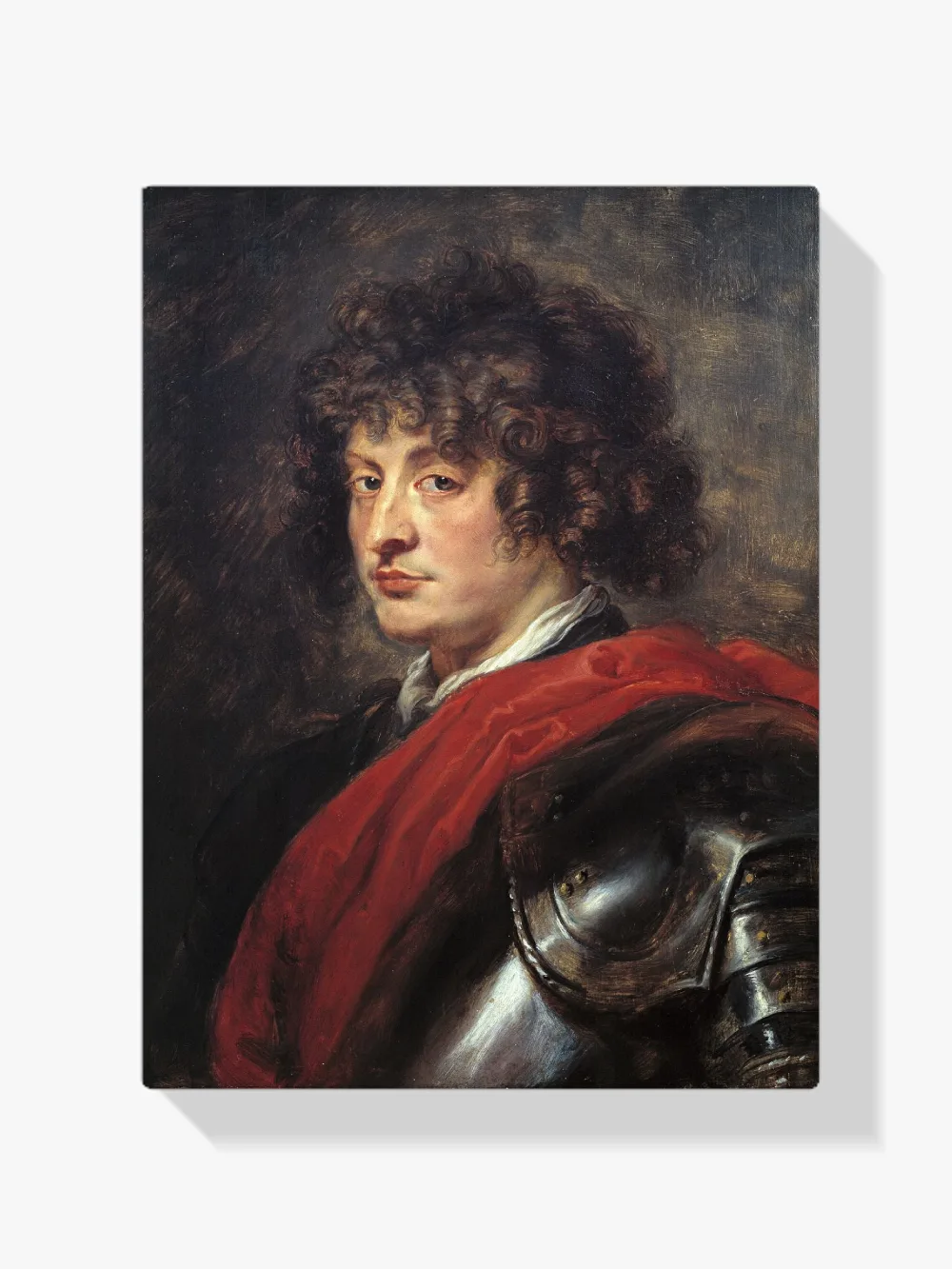 Pintar por números Retrato de un joven con armadura