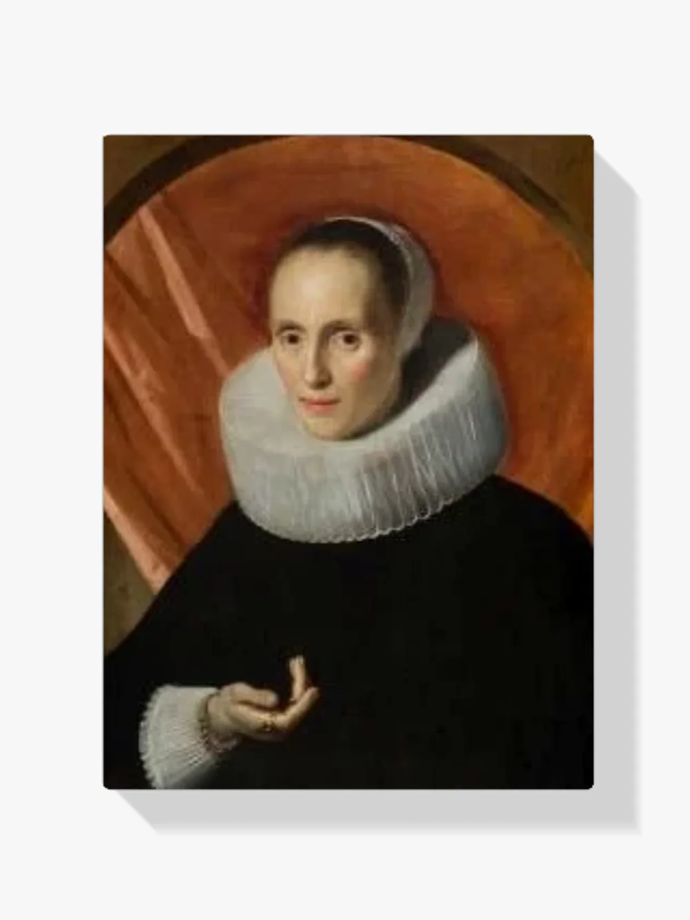 Pintar por números Retrato de una dama