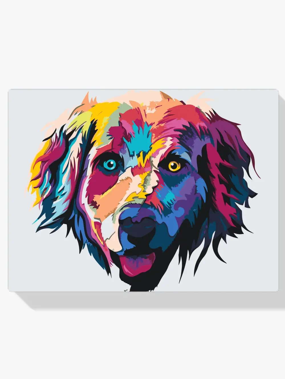 Pintar por números Retriever de colores