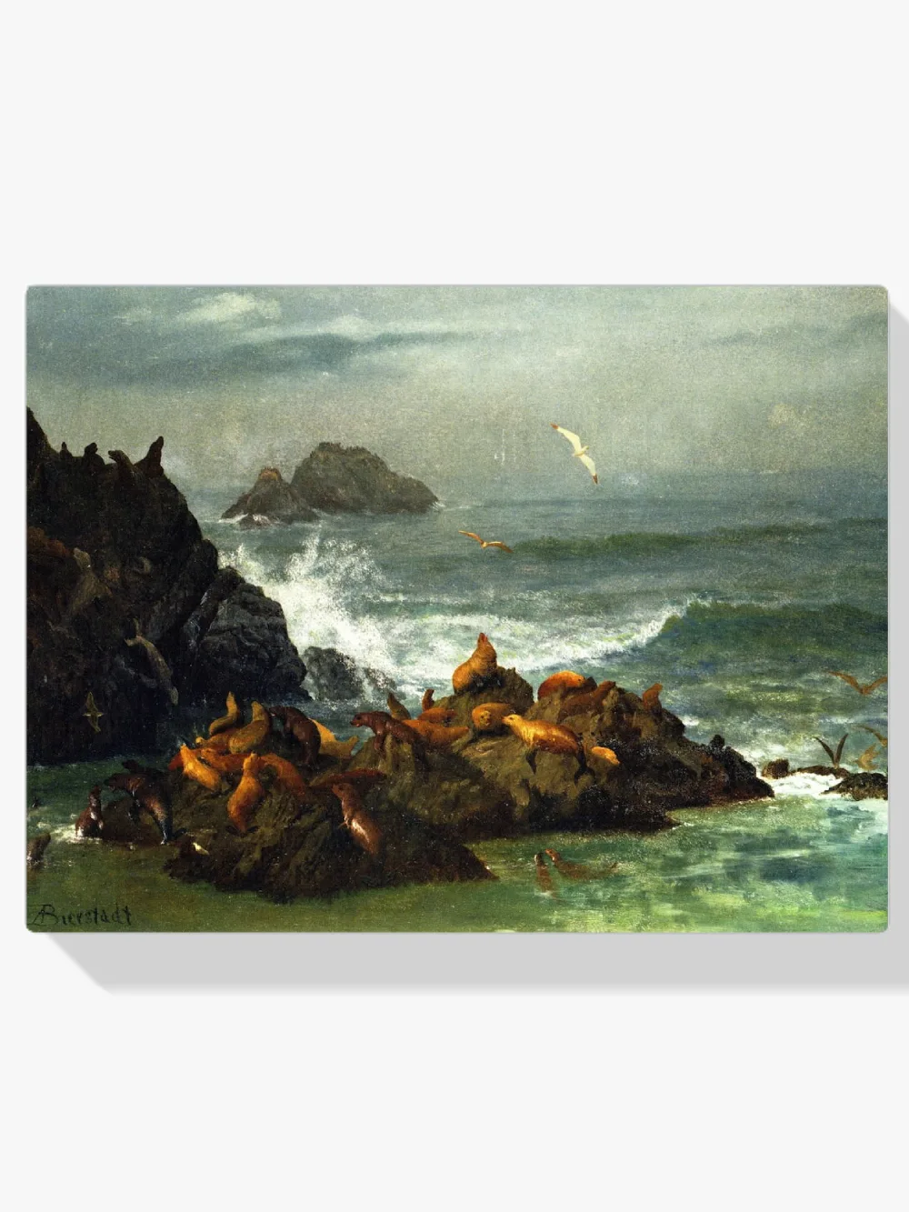 Pintar por números Rocas de las focas en el Pacífico, California