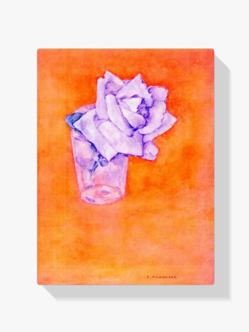 Pintar por números Rosa blanca en un vaso