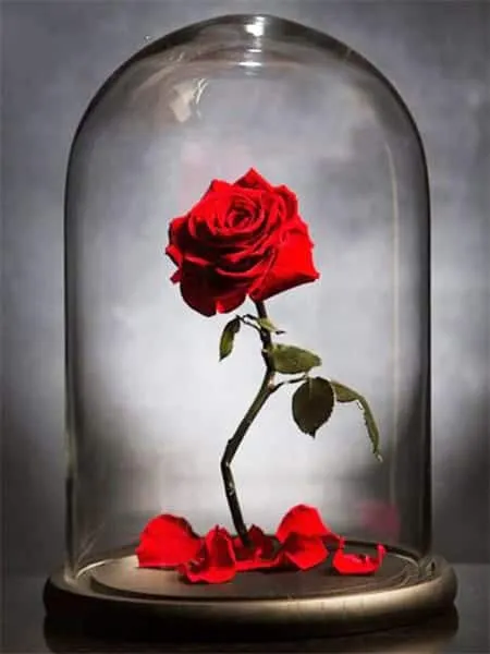 Pintar por números Rosa en un jarrón – foto 2