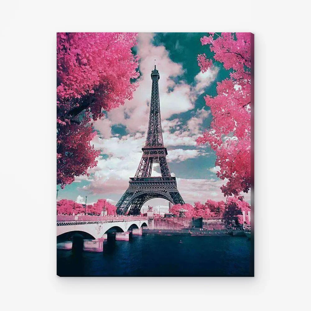 Pintar por Números - Rosas en París