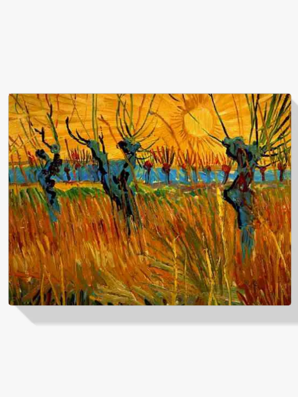 Pintar por números Sauces al atardecer