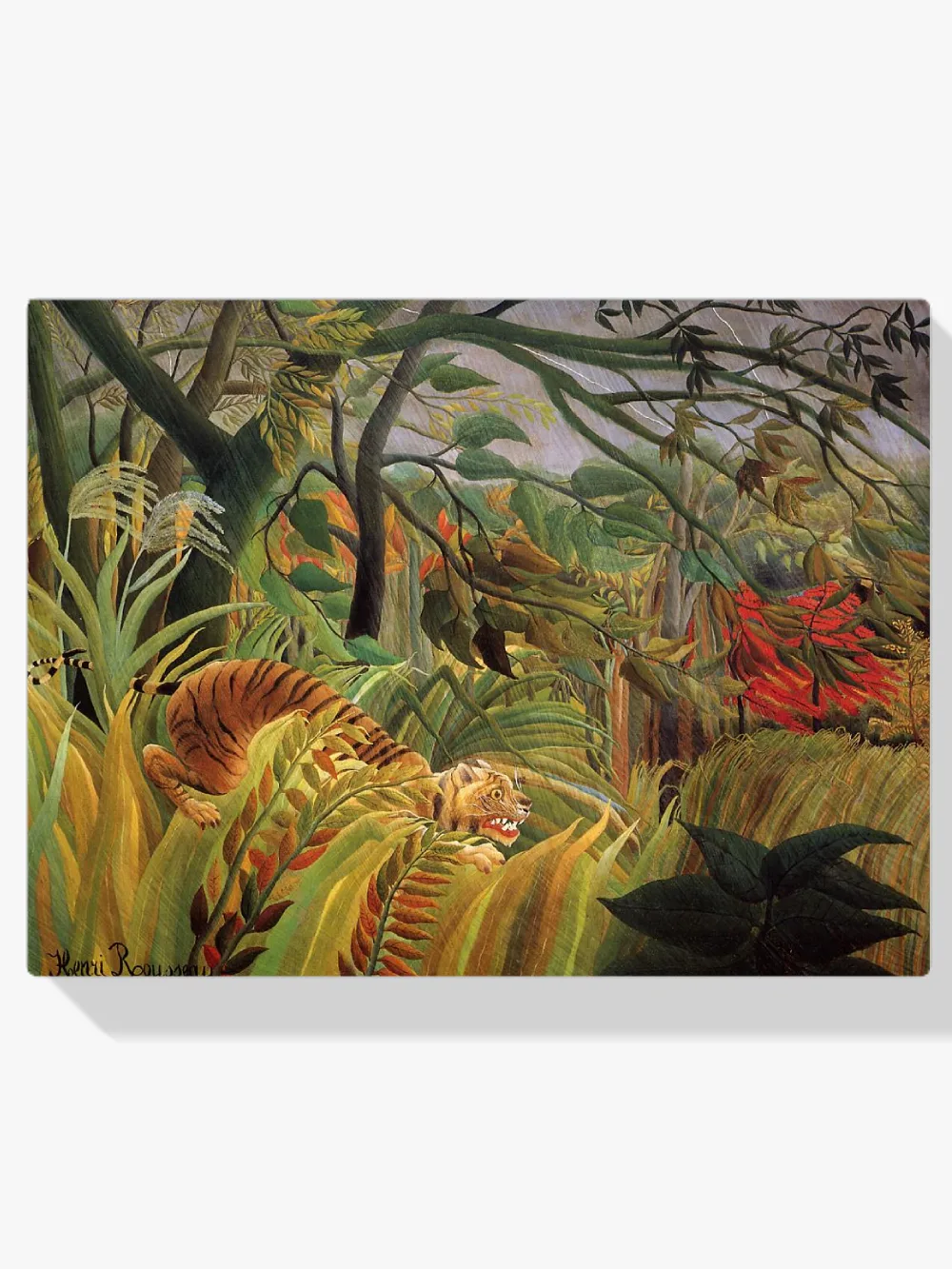 Pintar por números Sorpresa - Henri Rousseau