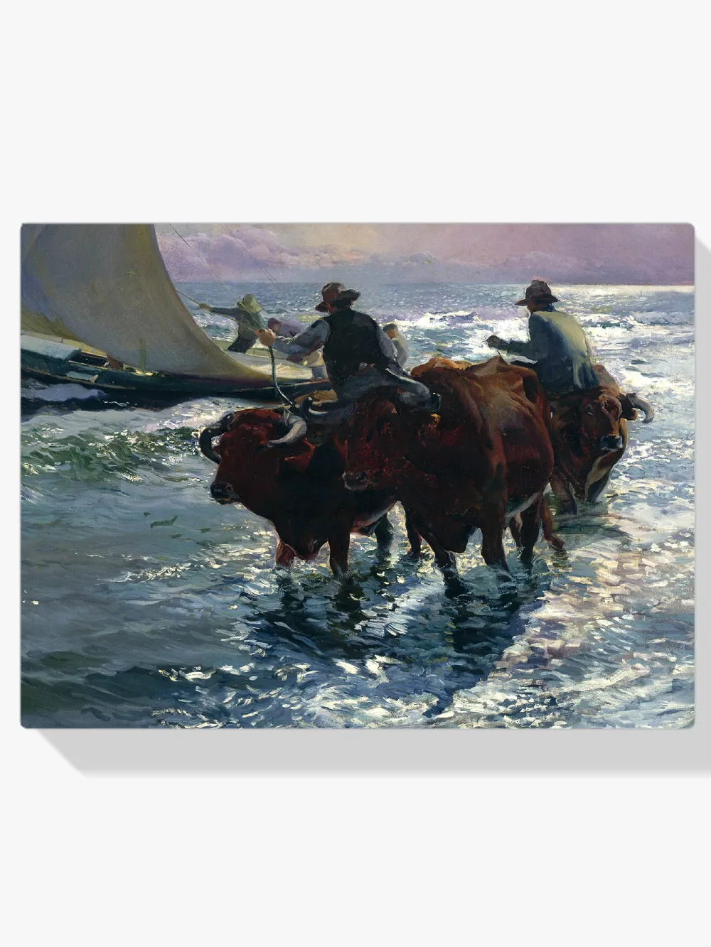 Pintar por números Toros en el mar
