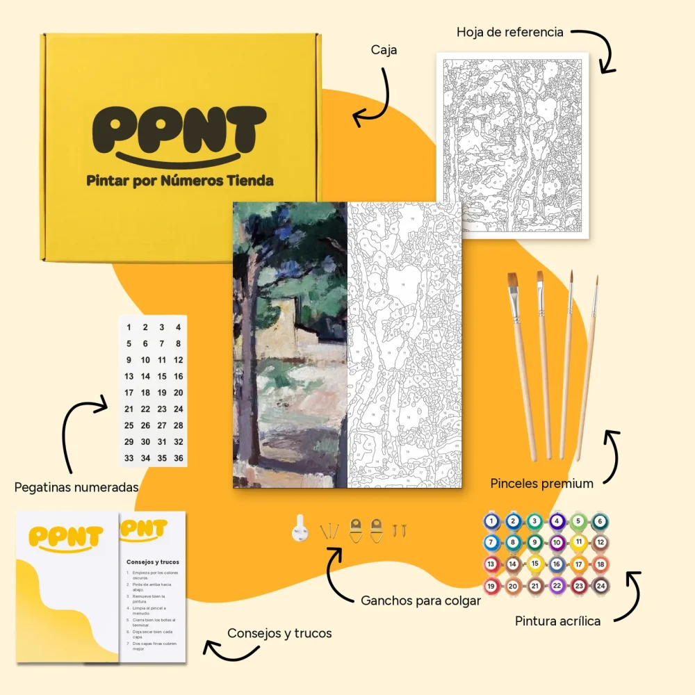 Pintar por Números - Un camino soleado, Cassis