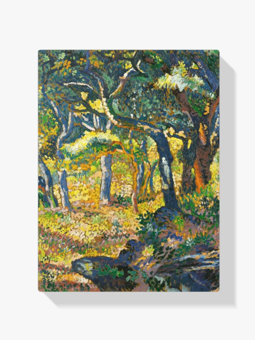 Pintar por números Un pequeño paraíso en la Provenza