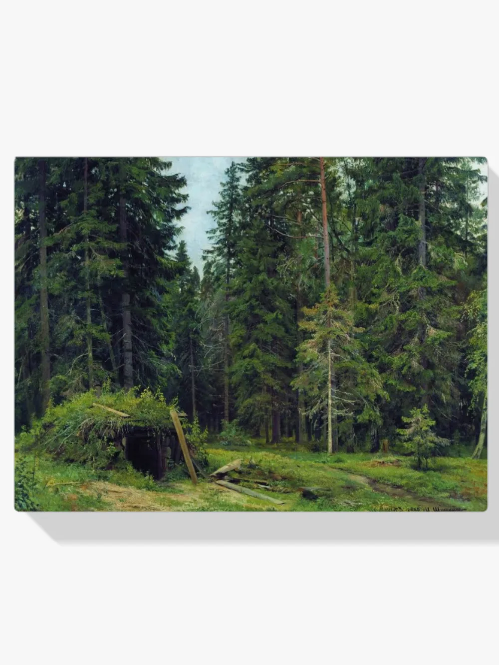 Pintar por números Una cabaña del bosque