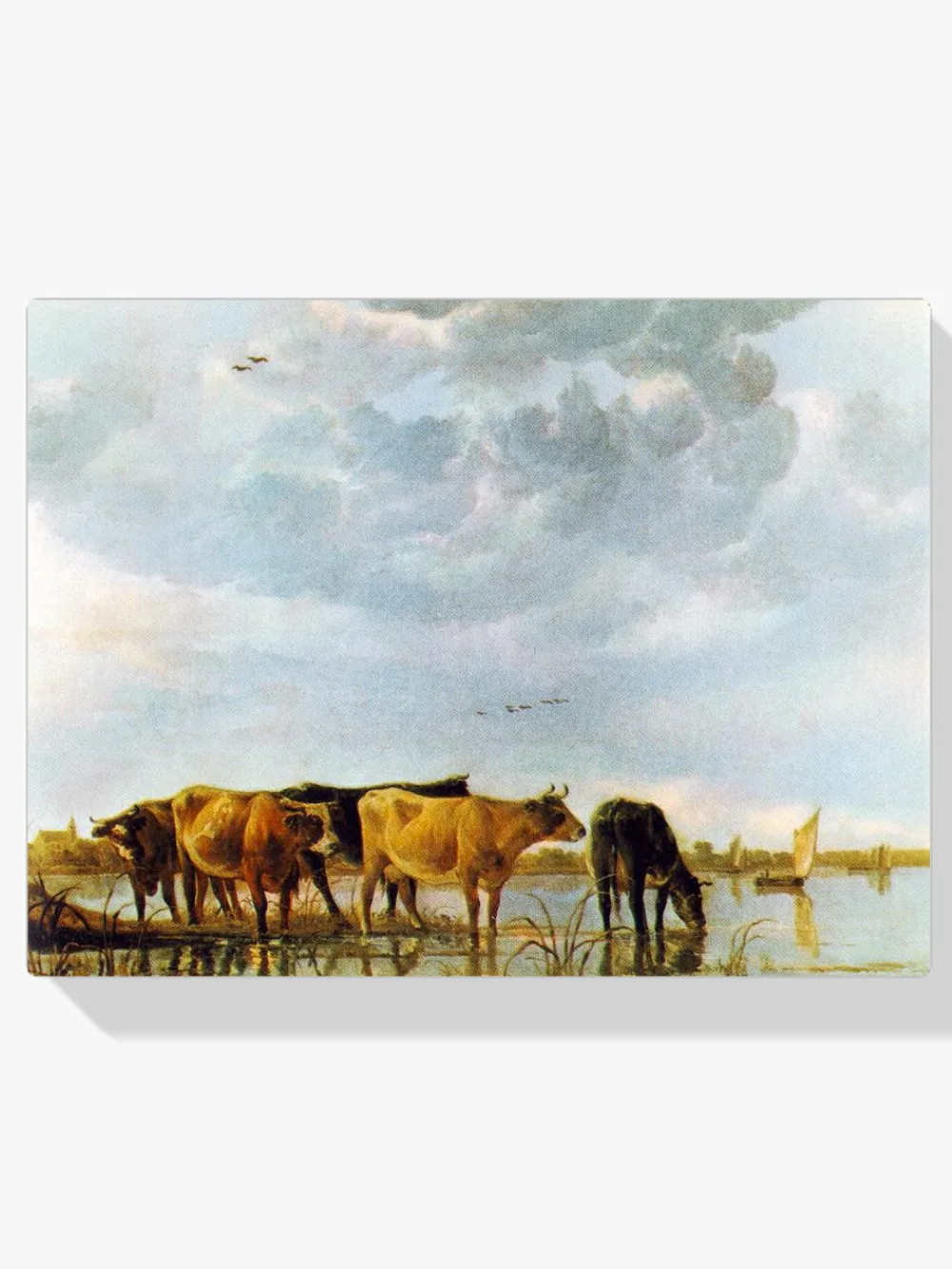 Pintar por números Vacas en el agua