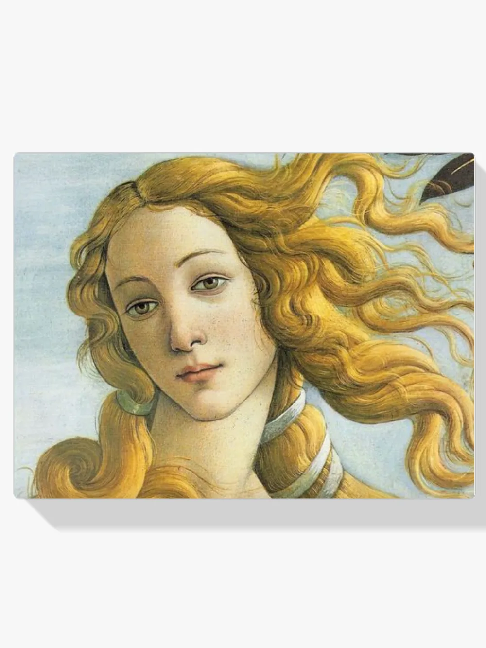 Pintar por números Venus