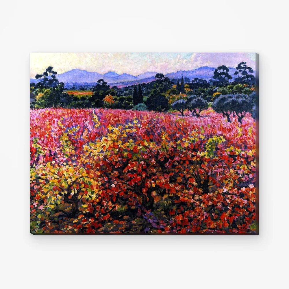 Pintar por Números - Viñas en octubre