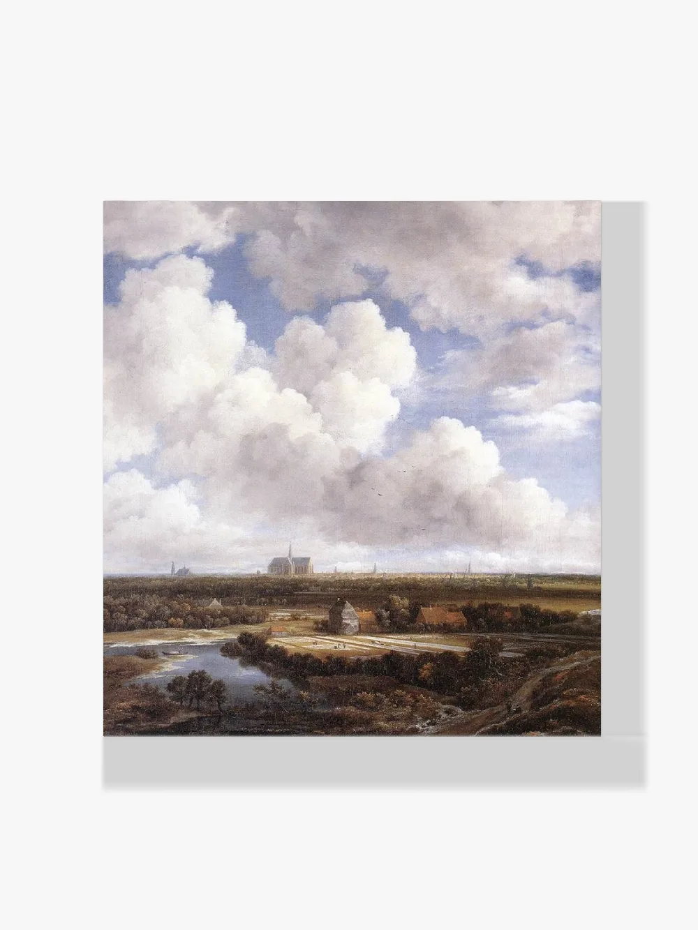 Pintar por números Vista de Haarlem con campos de blanqueo