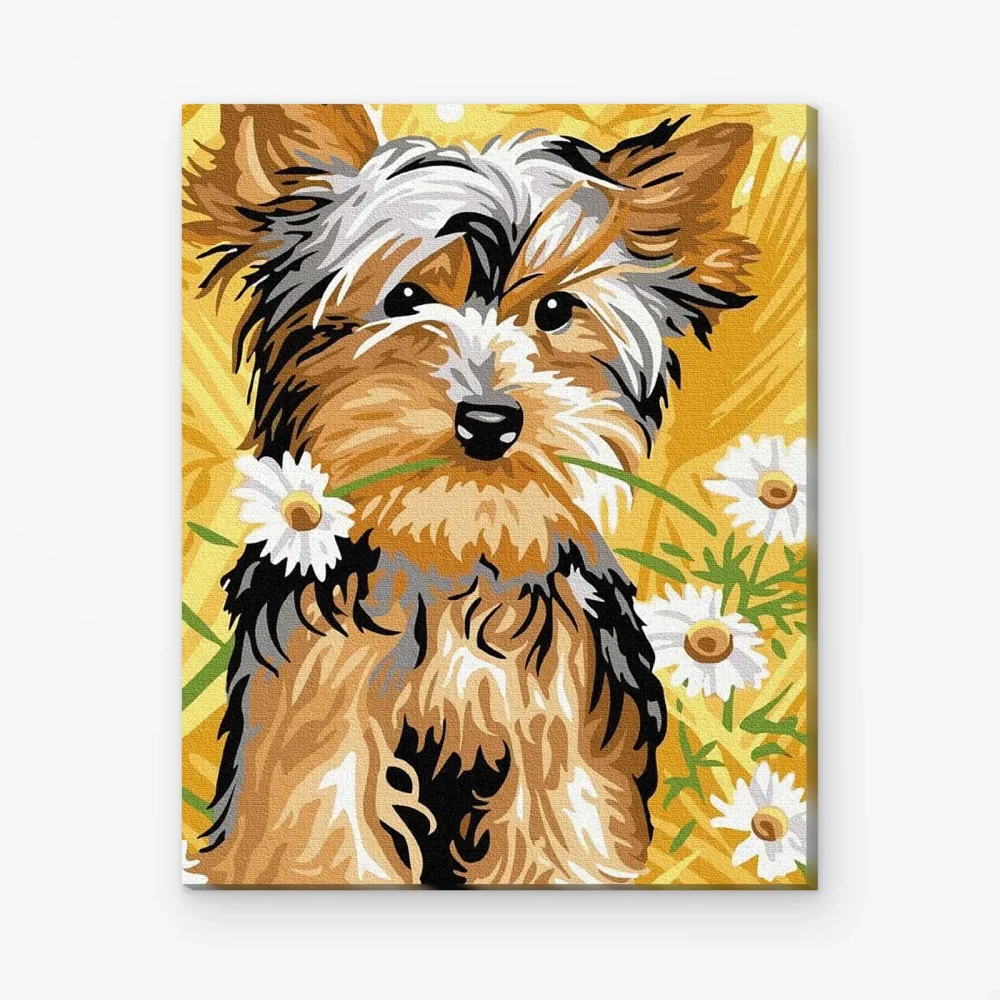 Pintar por Números - Yorkie con flores