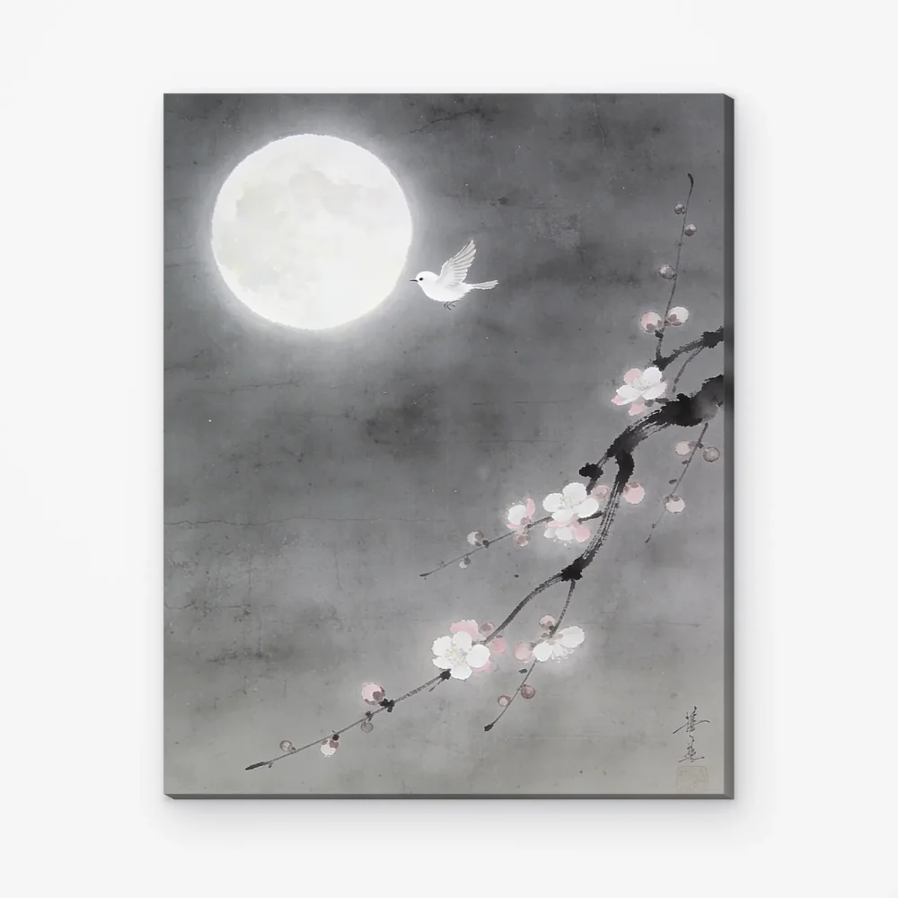 Pintar por Números - Zen